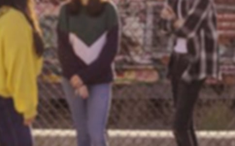 ��������ժ�������