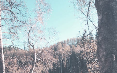 �Ұ��＾���ĳ���