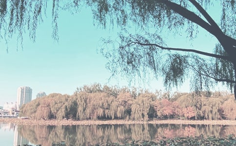 秋季教学计划15篇