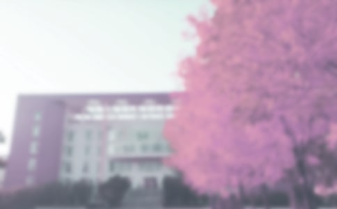 �＾��Ⱦ���ĵ����