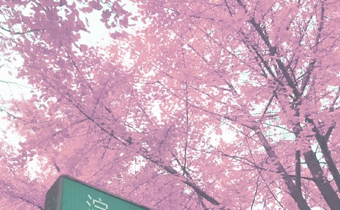 �＾��������