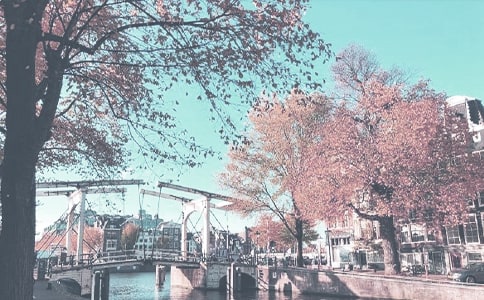 ����Сѧ�＾�����ƻ�ģ�弯����ƪ