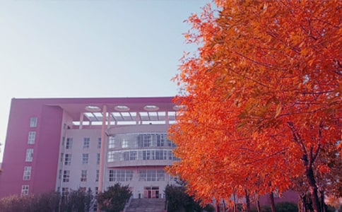 ����Сѧ����