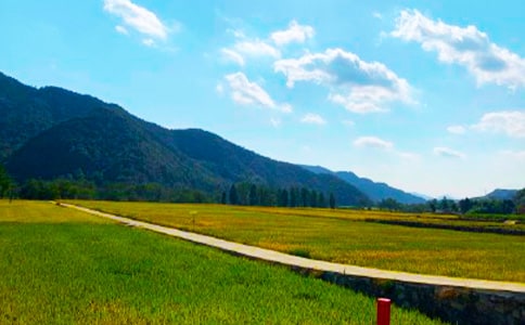 ������������������ĵ����