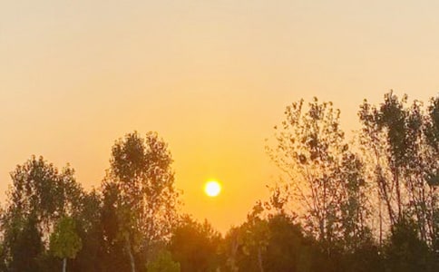 描写海边日出的句子