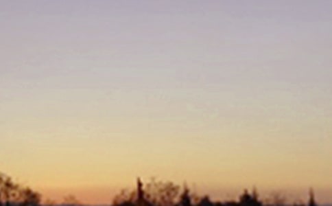 【精选】日落小学作文汇总6篇