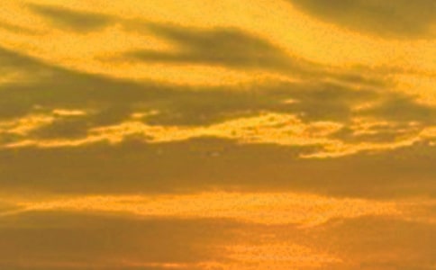 【精选】日落小学作文300字四篇