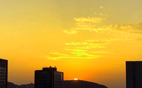 ����ѡ������Сѧ����300����ƪ