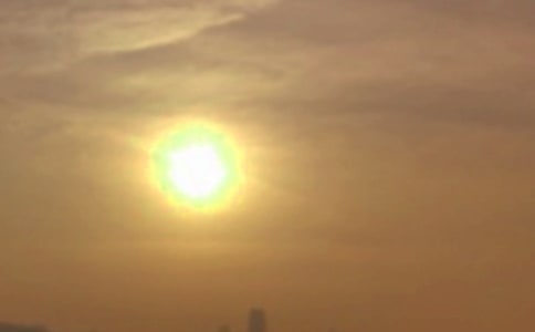 ����ѡ������Сѧ���Ļ���9ƪ