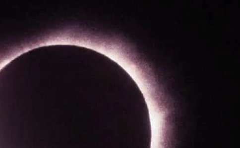 看日食的小学作文