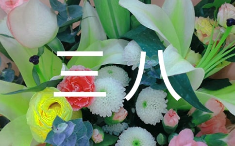 ���˵�ο���Ż��8ƪ