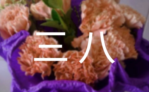 ���˻�ڲ߻���