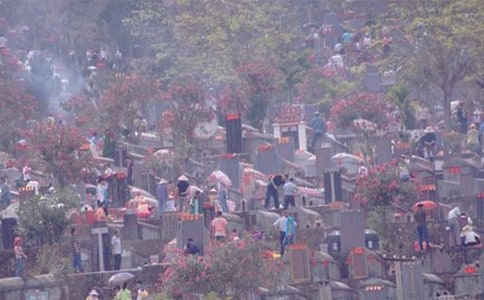 ɨĹСѧ����