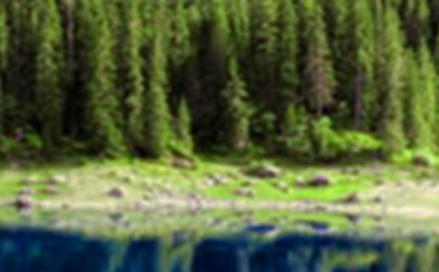 2022�������¼�¼Ƭ����������ɽˮ�䡷�ۺ�У���ѡ6ƪ��