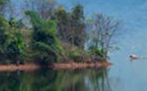 赞美山水的经典句子