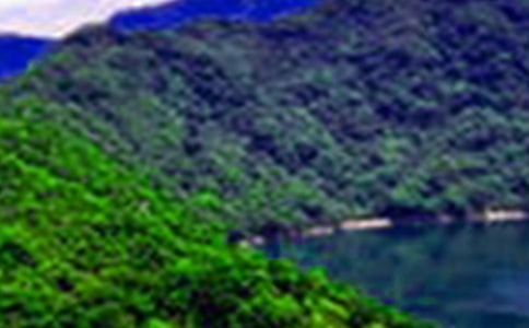 唯美描写山水的句子