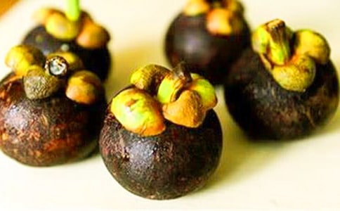 南山竹海导游词