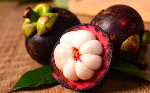 ��ɽ�񺣵��δ�(15ƪ)