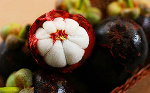 江苏南山竹海的导游词