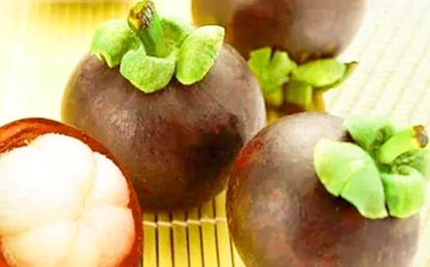 南山竹海导游词15篇