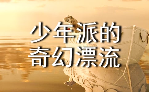 《少年派的奇幻漂流》观后感(通用20篇)