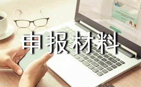 申报材料真实性承诺书