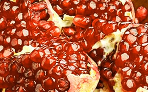 ��ѡʯ����Сѧ������ƪ