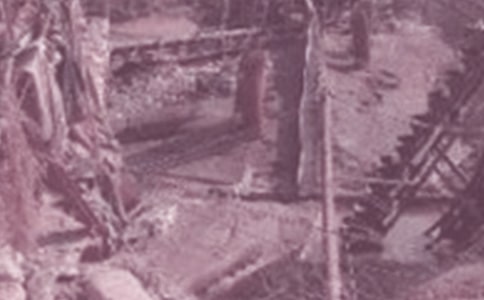 石油毕业生自我鉴定