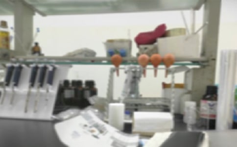 关于实验室工作计划范文集锦六篇