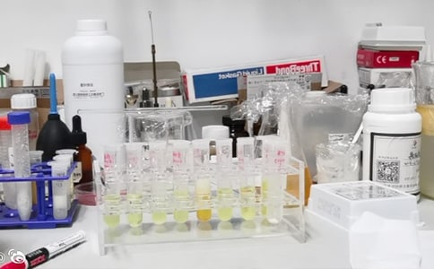 ��ѧ���ι۴������ʵ���Ҳ߻���