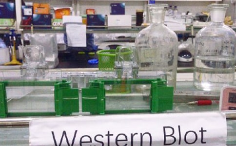 Сѧʵ���ҹ����ܽ�15ƪ