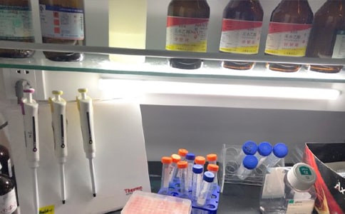 ʵ����ʵϰ�ĵ����