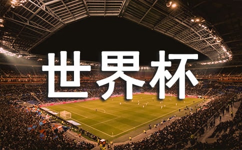 2024年世界杯的语录合集30条