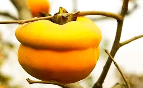 ժ�����ܼ�