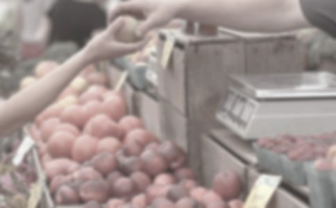 �������������г�Сѧ����4ƪ