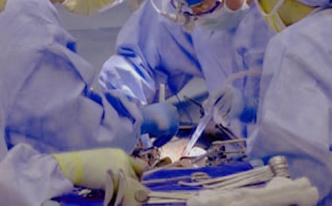 ������ף����