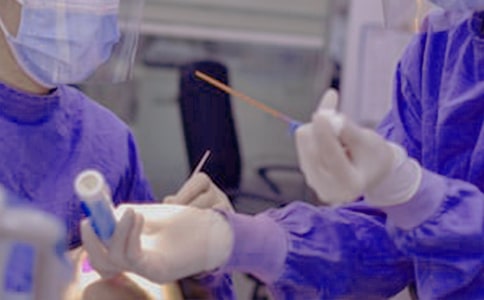 ���������ĵ����