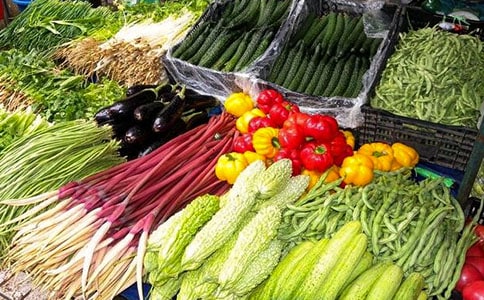 ʵ�õ��߲�Сѧ���ĺϼ�ʮƪ