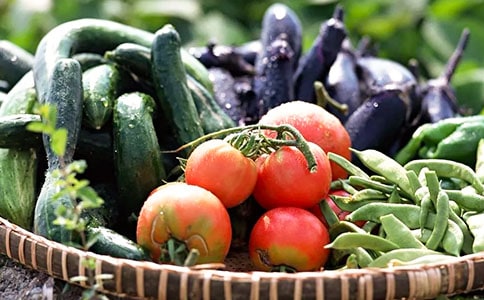 蔬菜小学作文300字锦集8篇