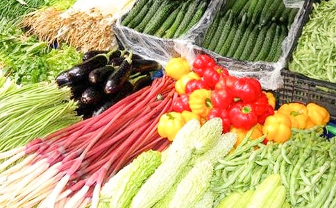 �й��߲�Сѧ���Ļ���7ƪ