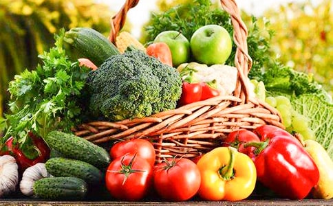 关于蔬菜小学作文汇总九篇