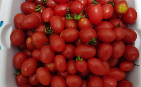 ��ʵ�á����꼶ˮ�����Ļ��ܾ�ƪ