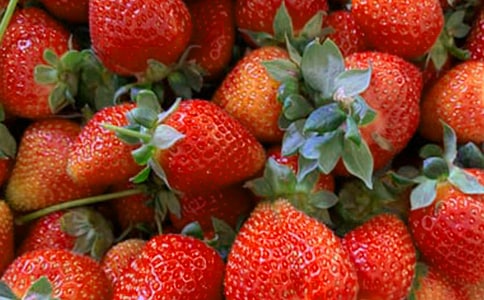 水果拼盘策划书