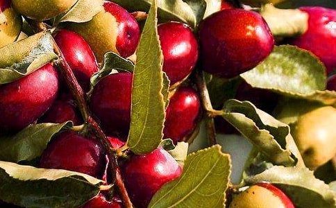 ˮ��������ͬ����(15ƪ)