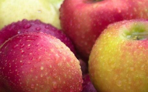 画水果教学反思