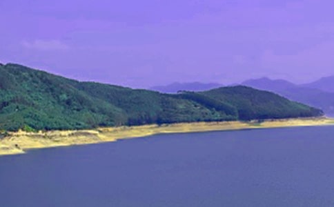 ˮ���������ܽᣨ��ѡ13ƪ��