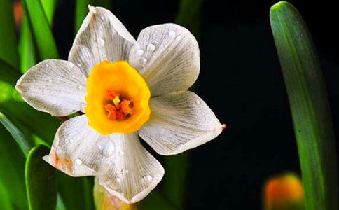 ��������ˮ���򡷶����