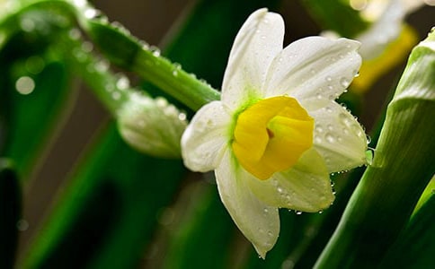 ��ˮ�ɶ����ε��δ�