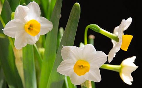 ����������ˮ�����и�