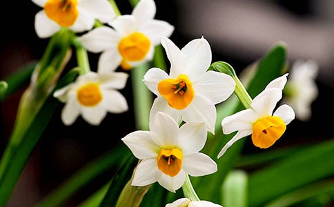 ˮ�ɻ��ɳ��ռ�